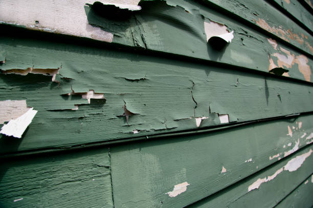 Best Siding Painting and Refinishing  in Willits, CA