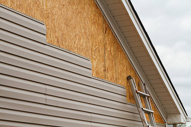 Best Steel Siding Installation  in Willits, CA